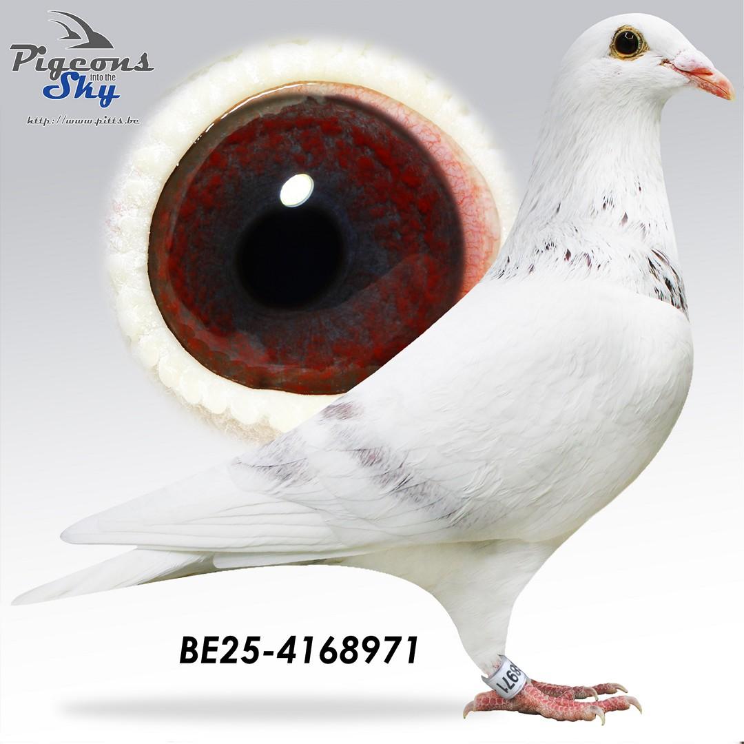 Van Limbergen X De Keyser (Claessens-lijn)