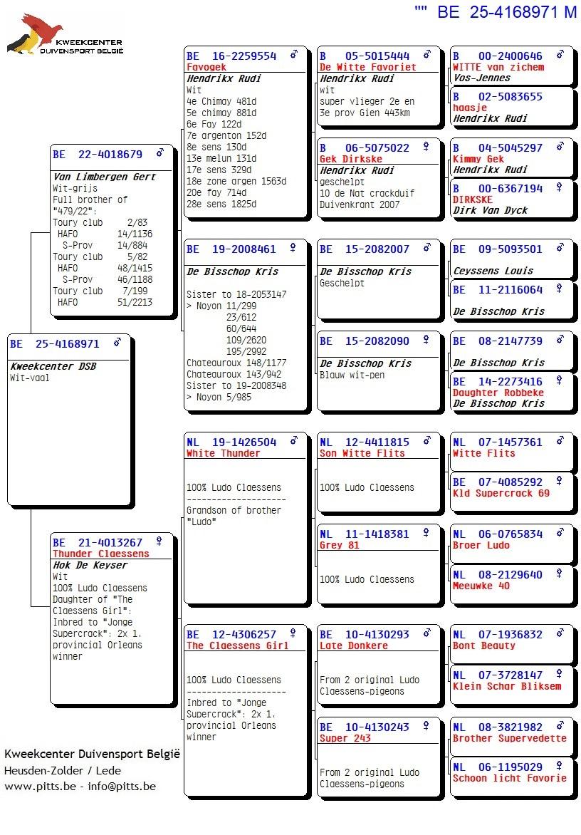 pedigree Van Limbergen X De Keyser (Claessens-lijn)