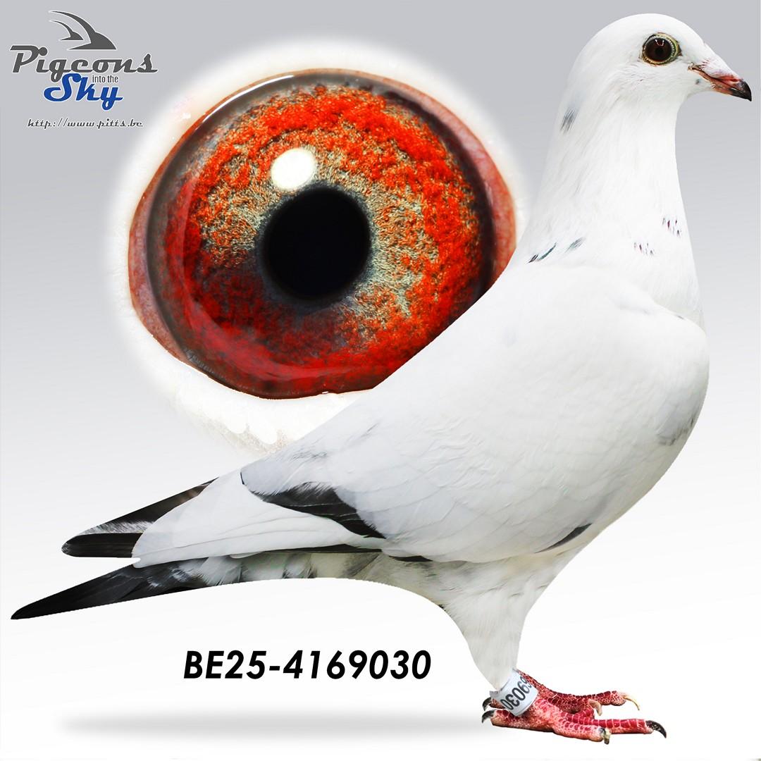 Van Limbergen X De Keyser (Claessens-lijn)