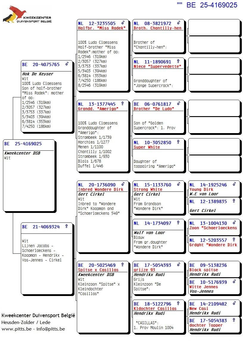 pedigree Topafstamming! Koopman-Claessens-Hendrikx-Schaerlaeckens