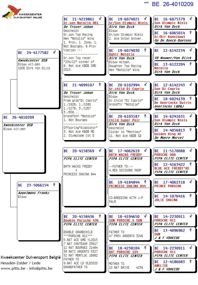 pedigree 209 - Van Dijck x Porsche-lijn