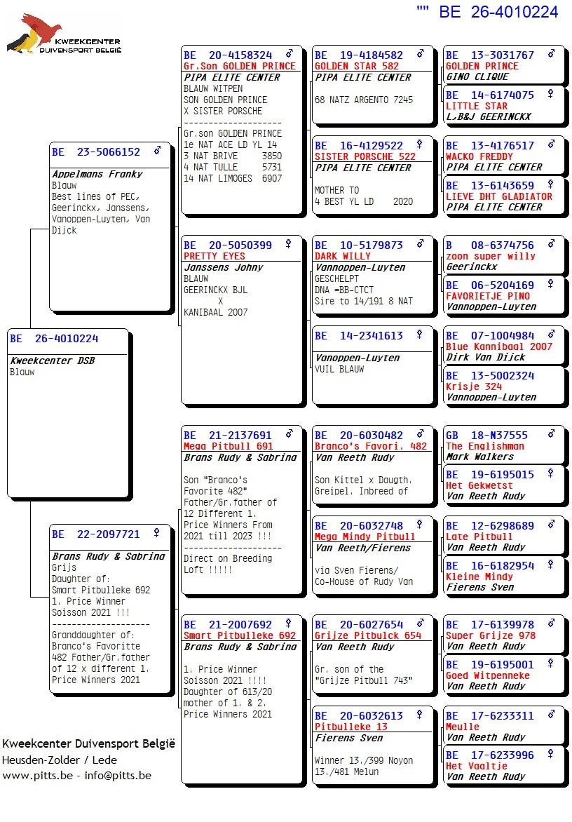 pedigree 224 - Porsche-lijn Appelmans x Brans