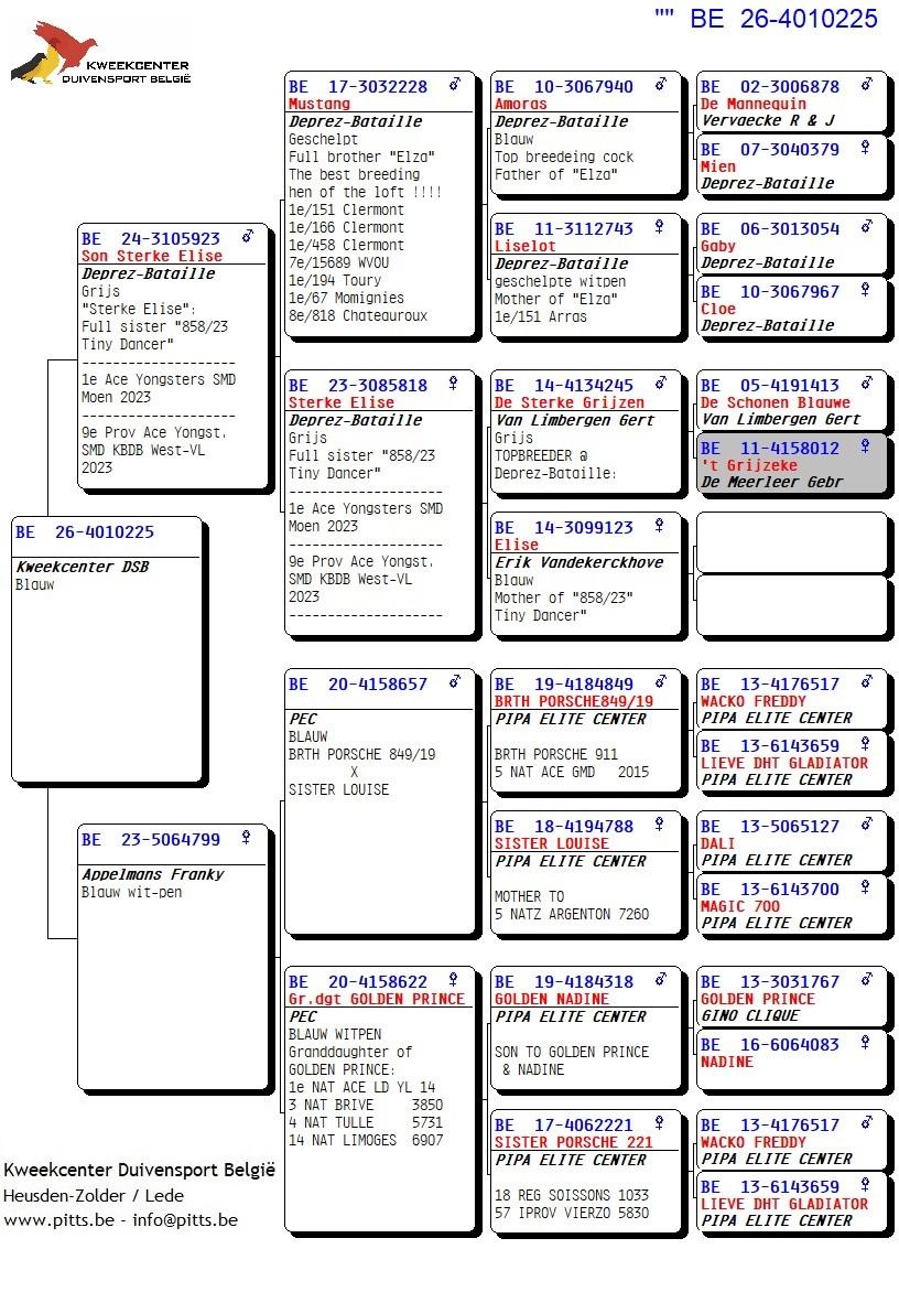 pedigree 225 - Deprez/Van Limbergen x Porsche-lijn