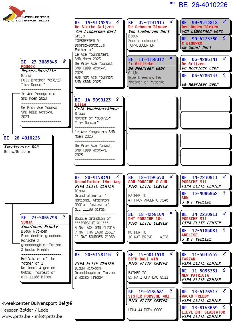 pedigree 226 - Deprez/Van Limbergen x Porsche-lijn