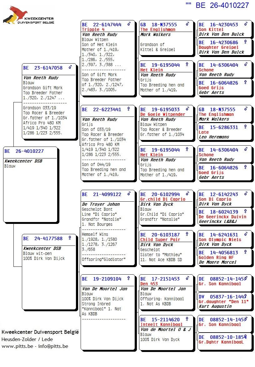 pedigree 227 - Van Reeth x Van Dijck