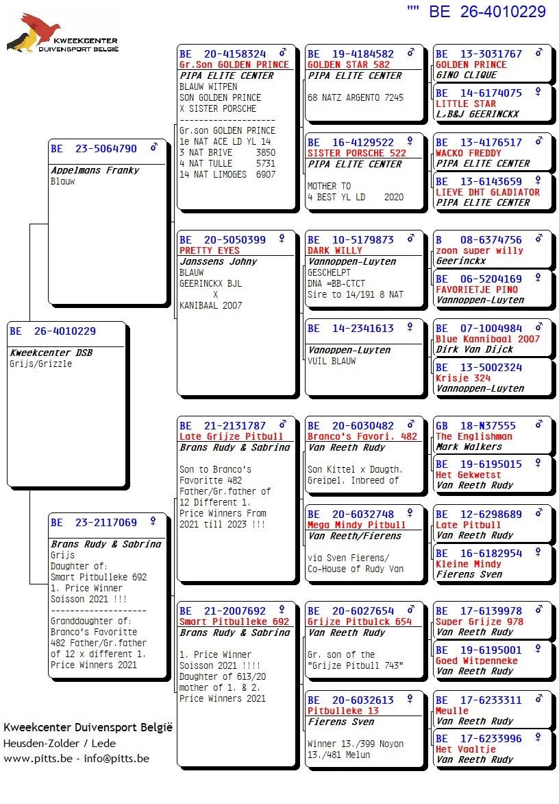pedigree 229 - Porsche-lijn Appelmans x Brans