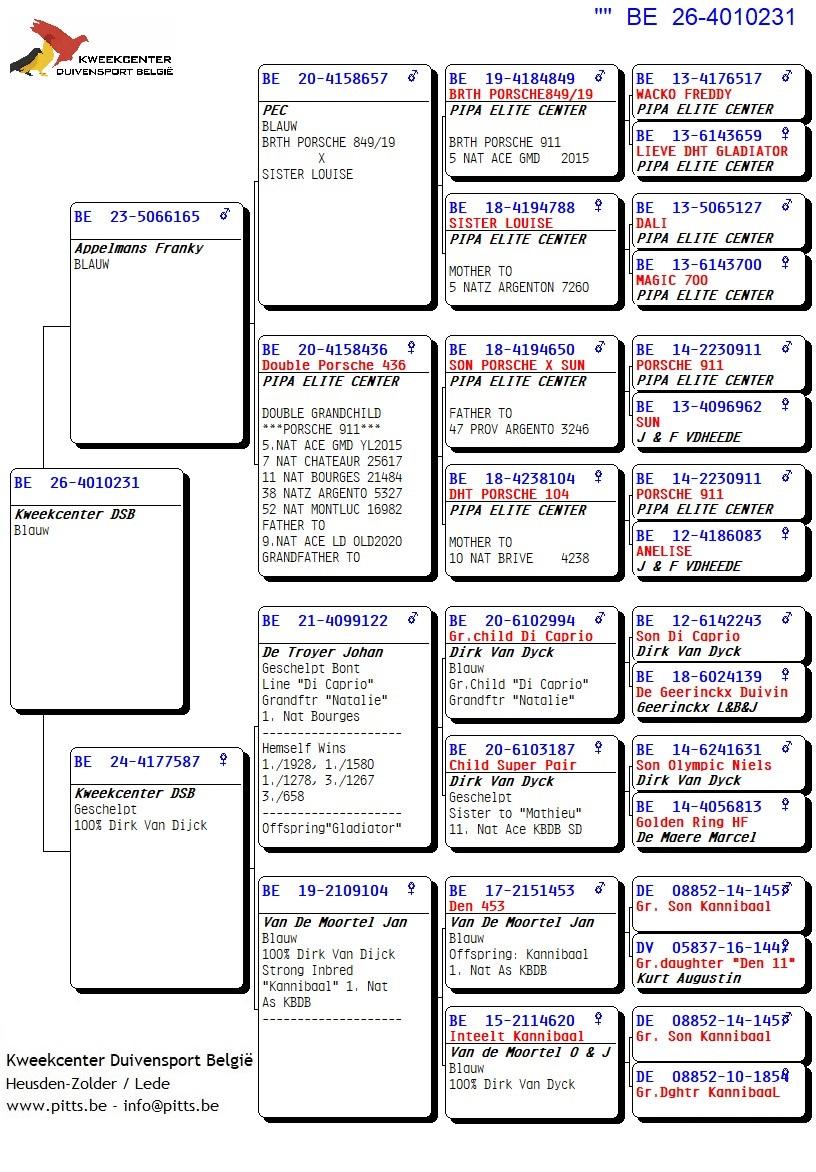 pedigree 231 - Porsche-lijn x Van Dijck