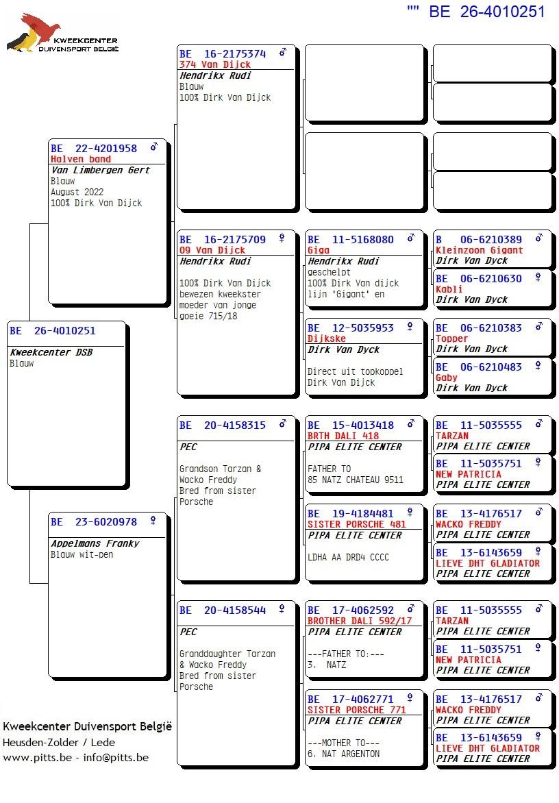 pedigree 251 - Van Limbergen x Porsche-lijn