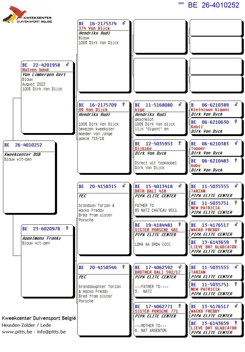 pedigree 252 - Van Limbergen x Porsche-lijn