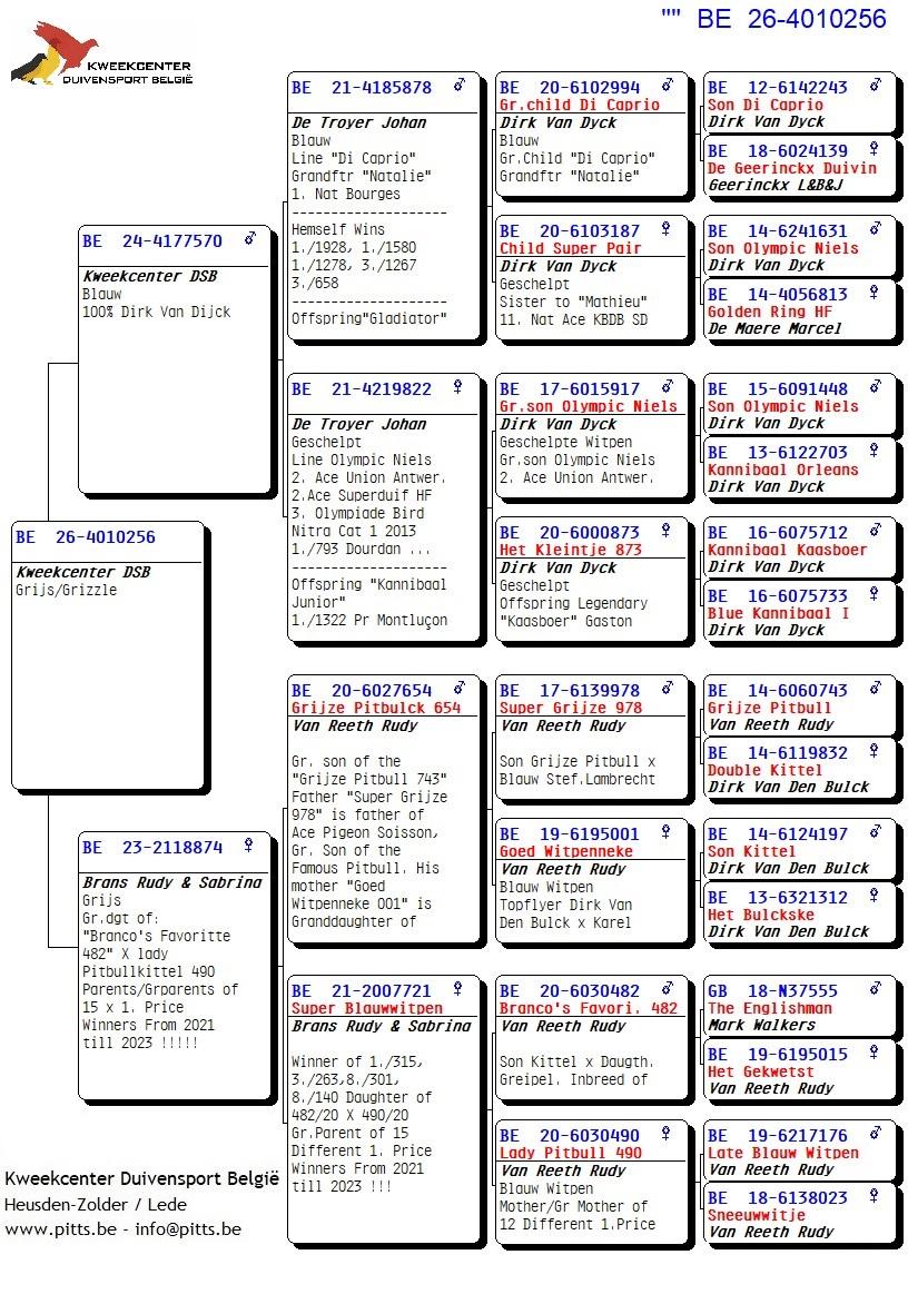 pedigree 256 - Van Dijck x Brans
