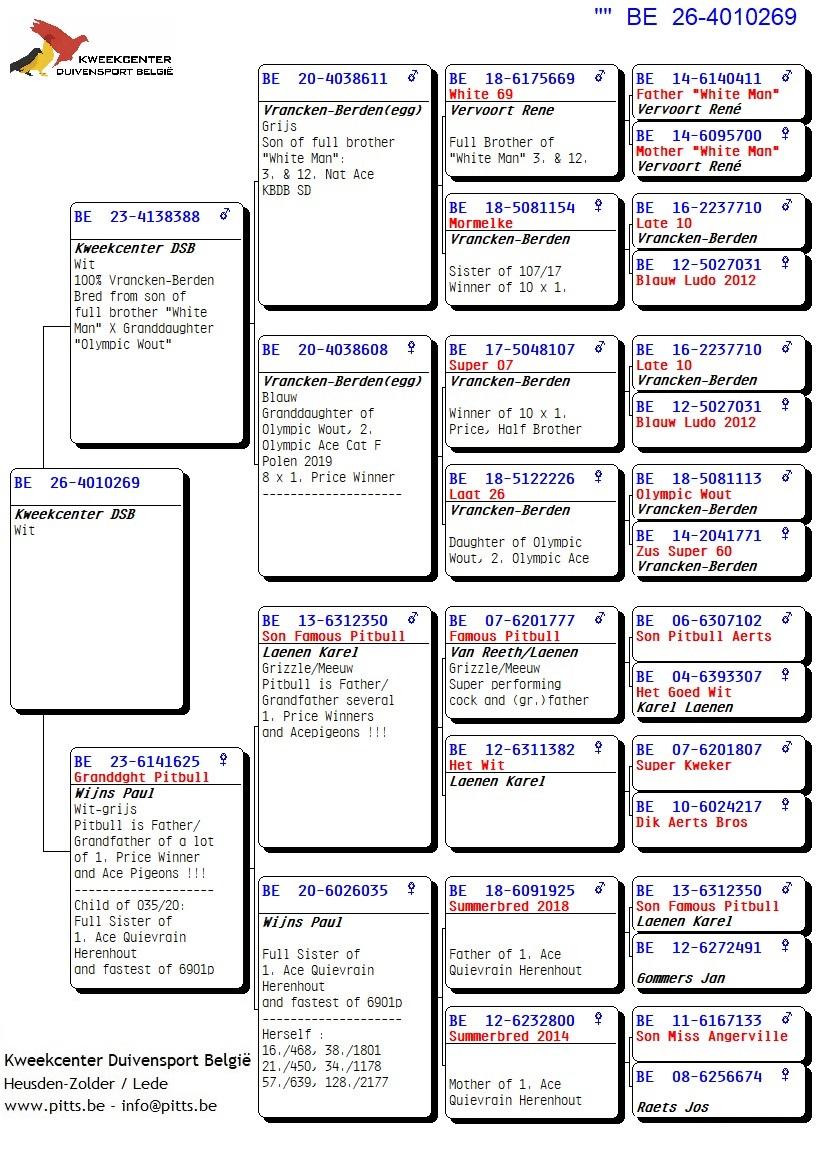pedigree 269 - Vrancken-Berden x Wijns