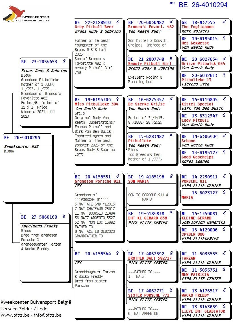 pedigree 294 - Brans x Porsche-lijn Appelmans
