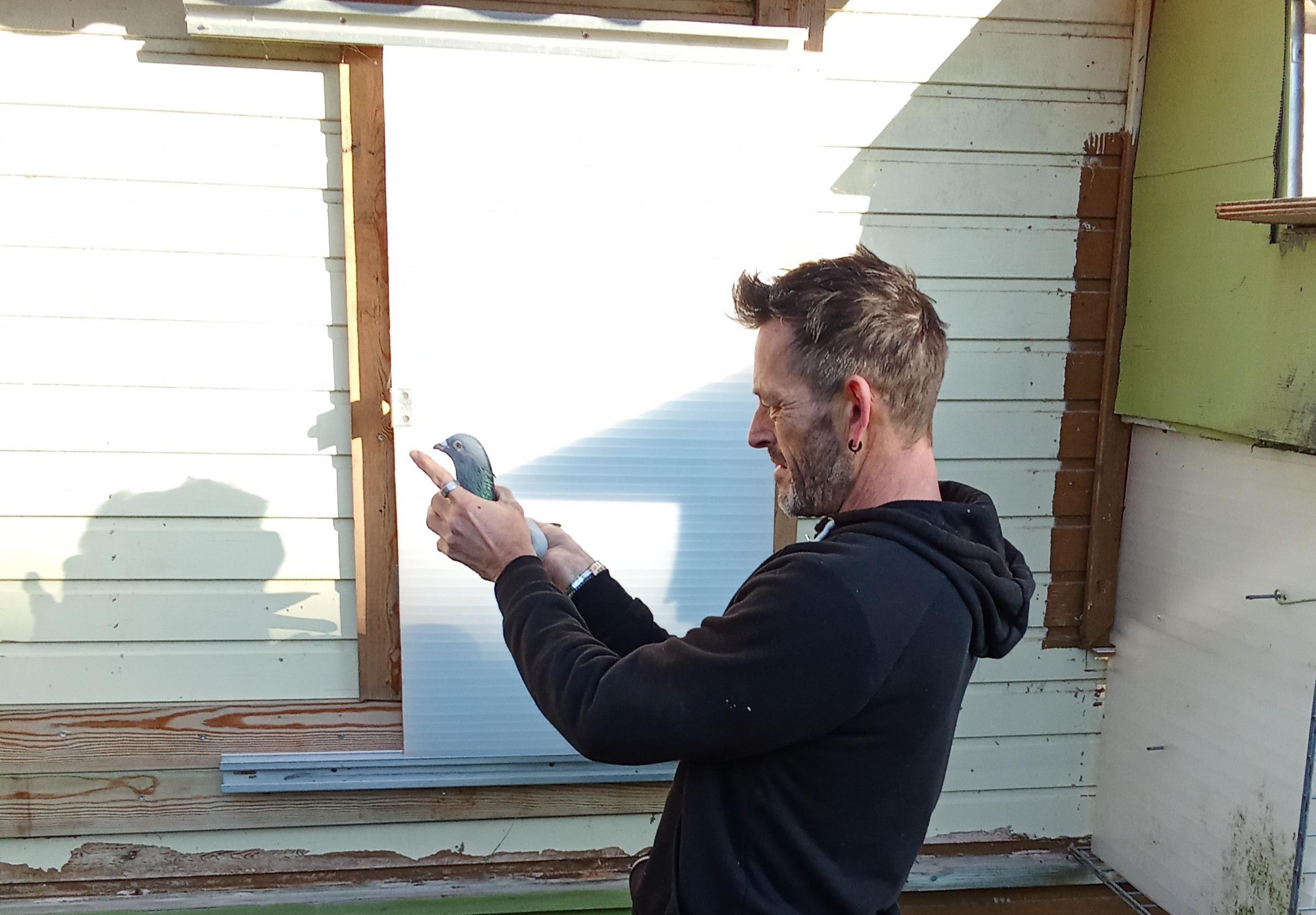 Auction: Marnik Du Bois