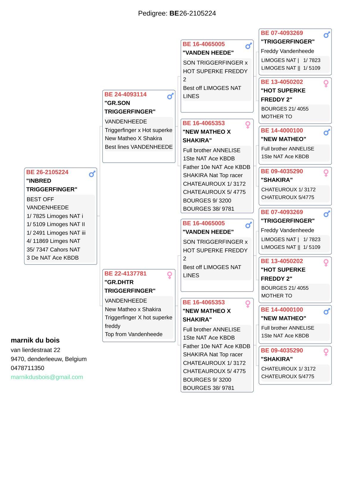 pedigree Dichte inteelt "Triggerfinger" - 100% Vandenheede