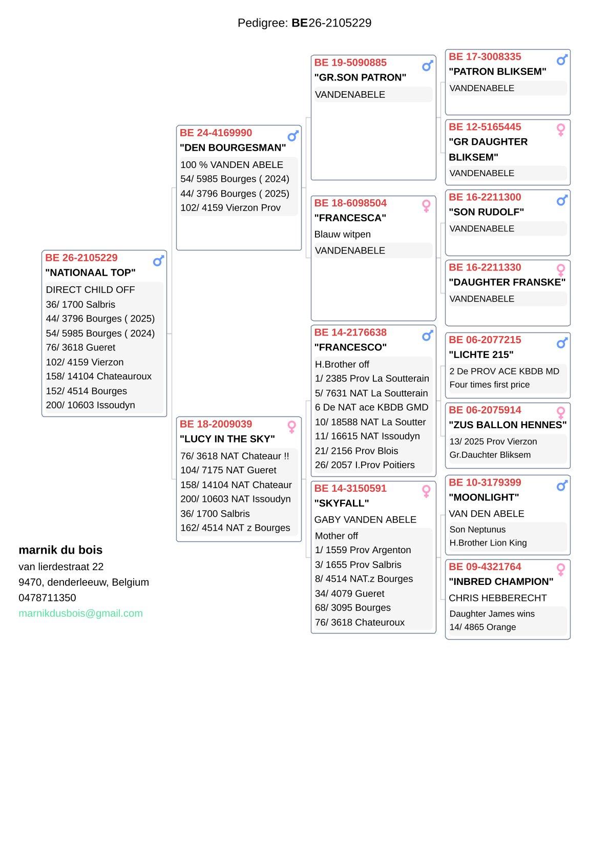pedigree "Den Bourgesman" X "Lucy In The Sky" - Vandenabeele-lijn