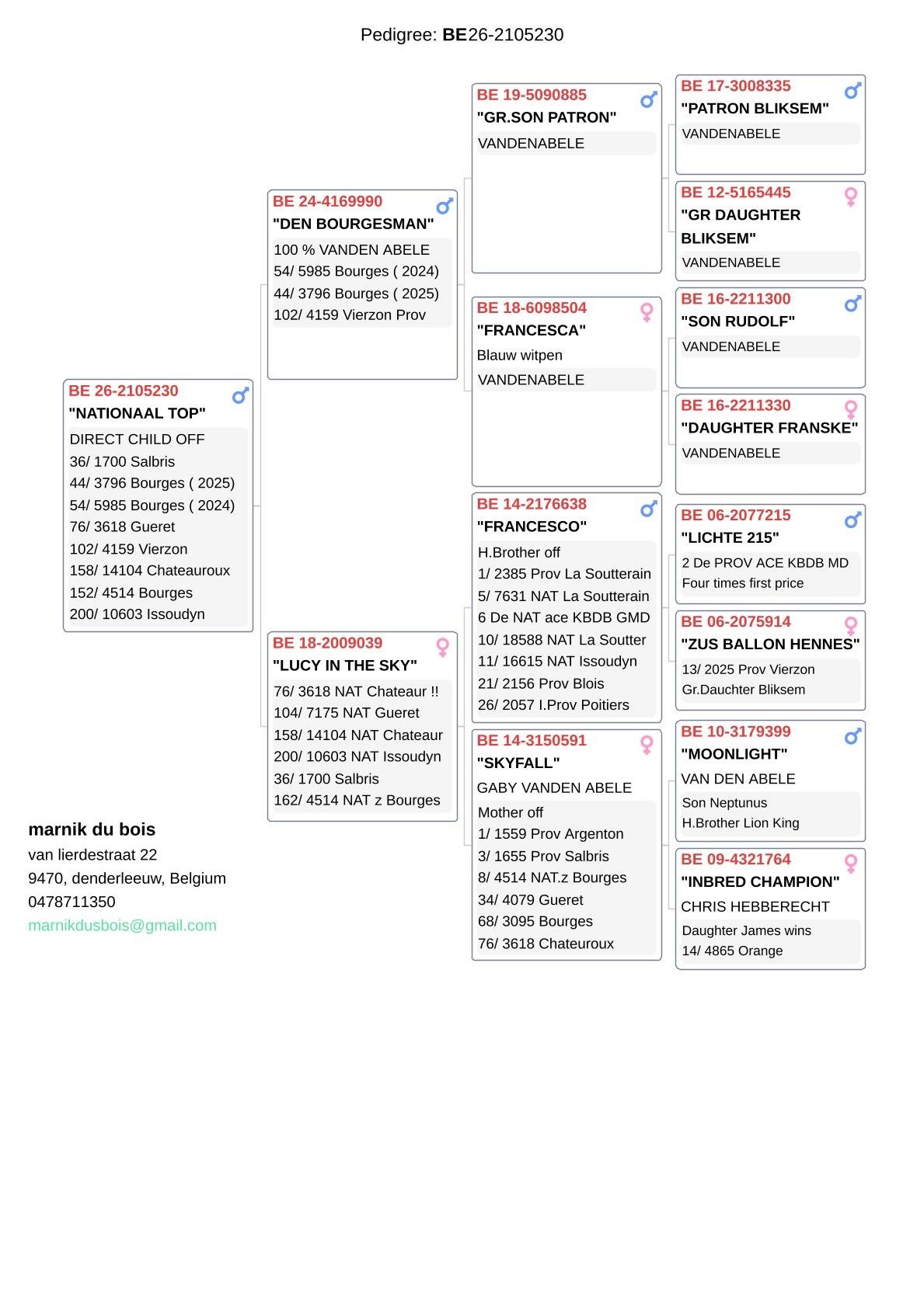 pedigree "Den Bourgesman" X "Lucy In The Sky" - Vandenabeele-lijn