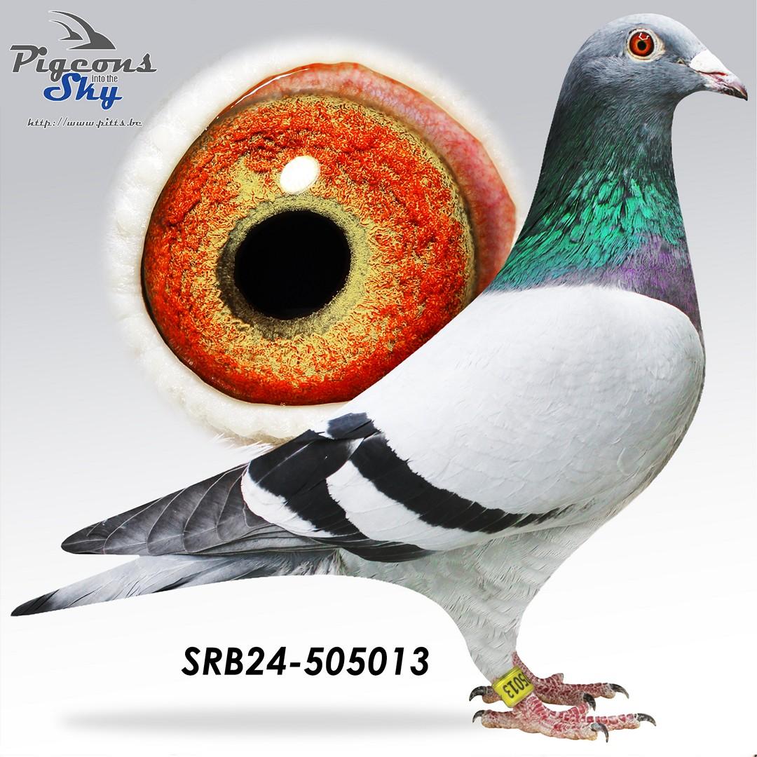 100% Dirk Van Dyck (+vader GRATIS: lot 2)