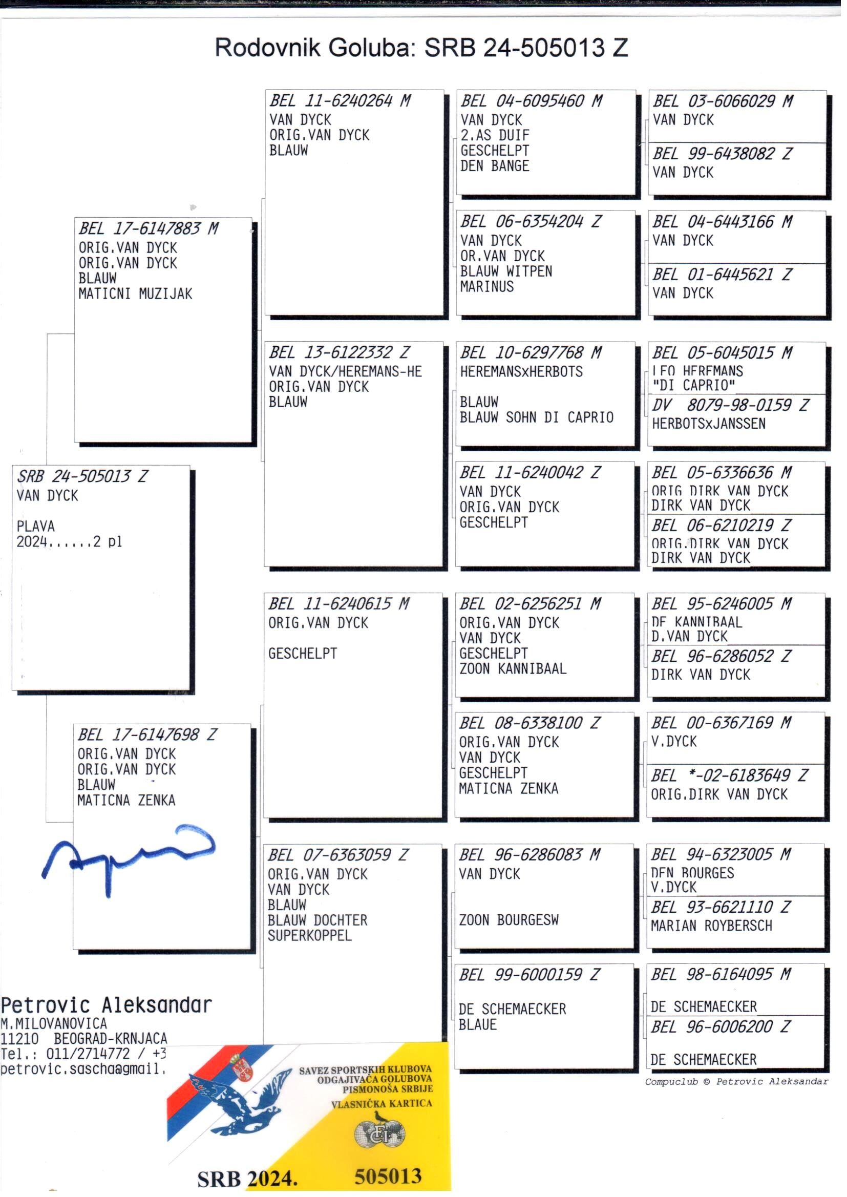 pedigree 100% Dirk Van Dyck (+vader GRATIS: lot 2)