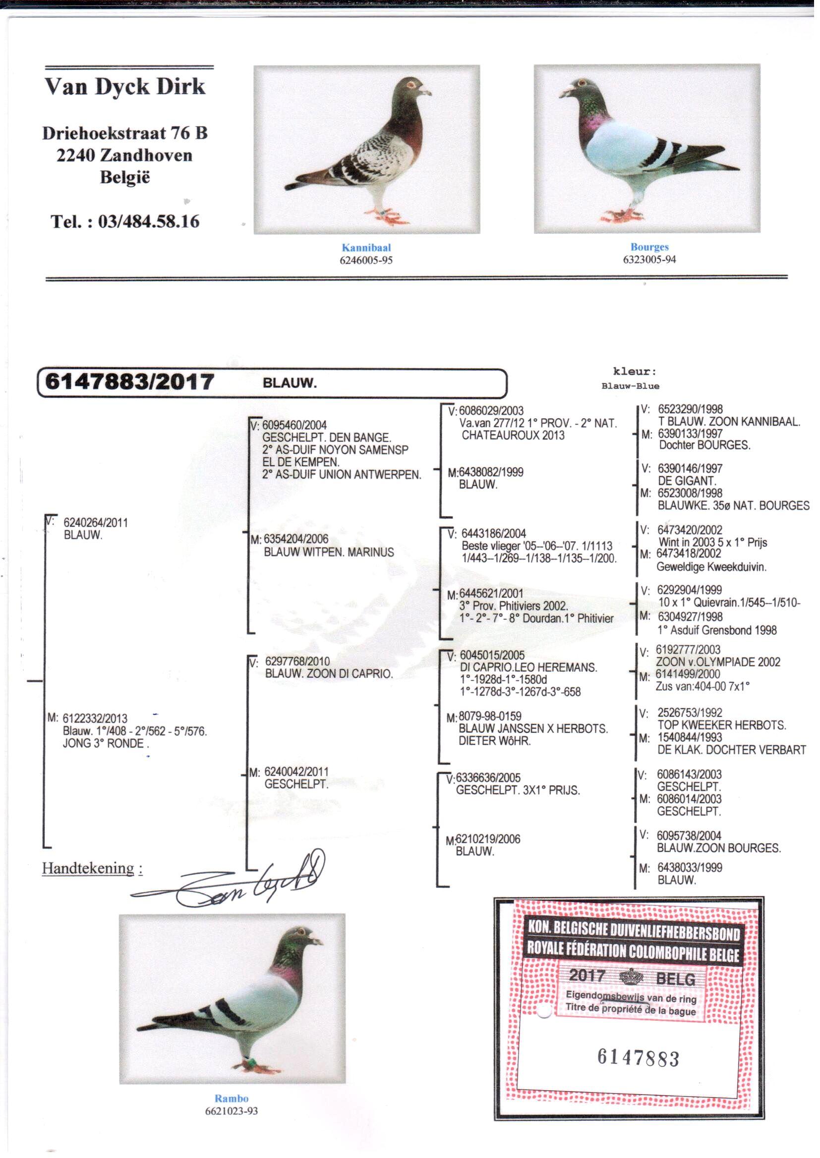 pedigree Direct Dirk Van Dyck / GRATIS bij lot 1