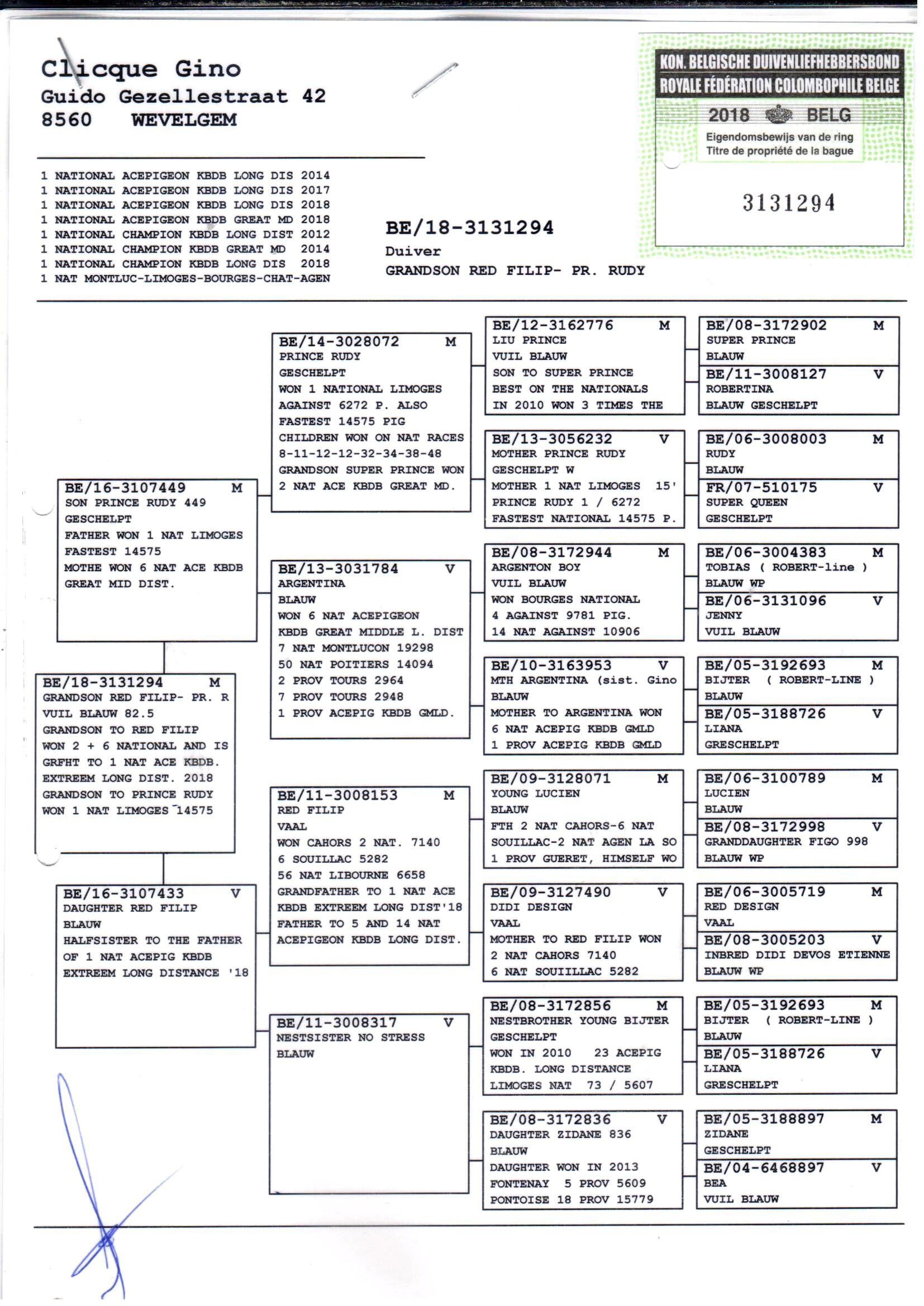 pedigree Direct Gino Clicque
