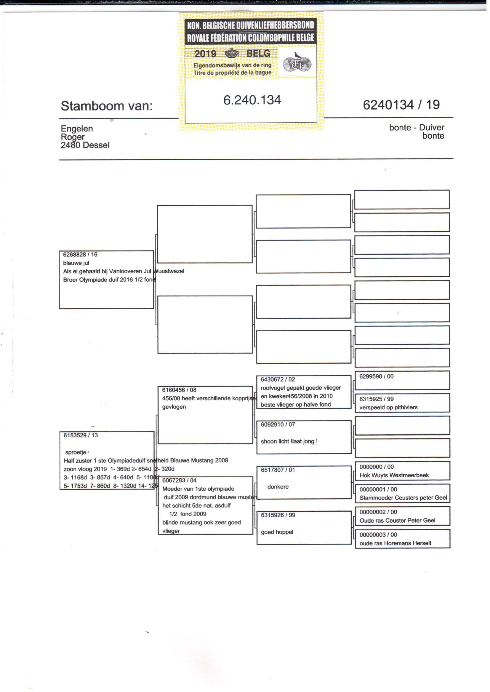 pedigree Direct Roger Engelen