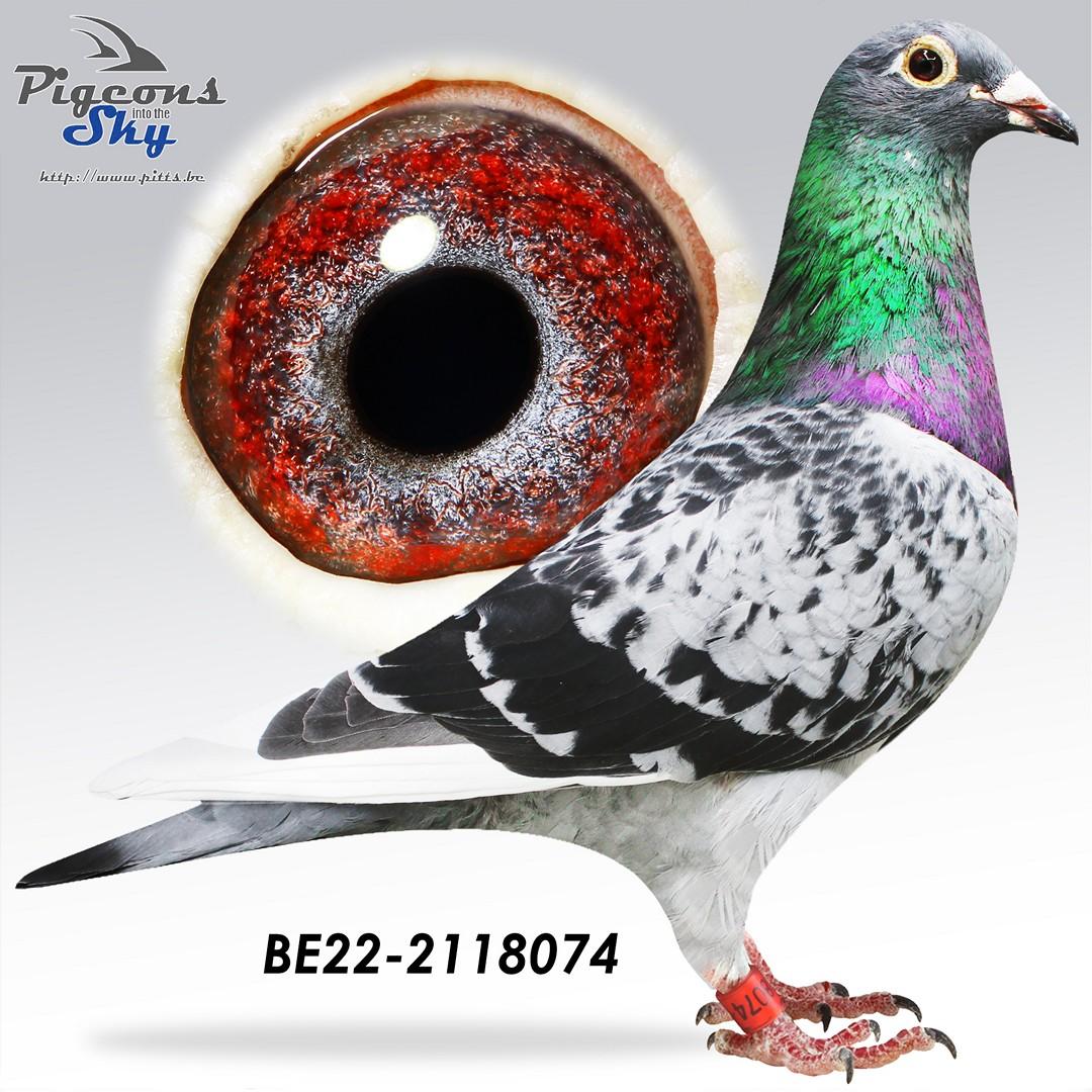 Direct Herbots Kobe & Kato