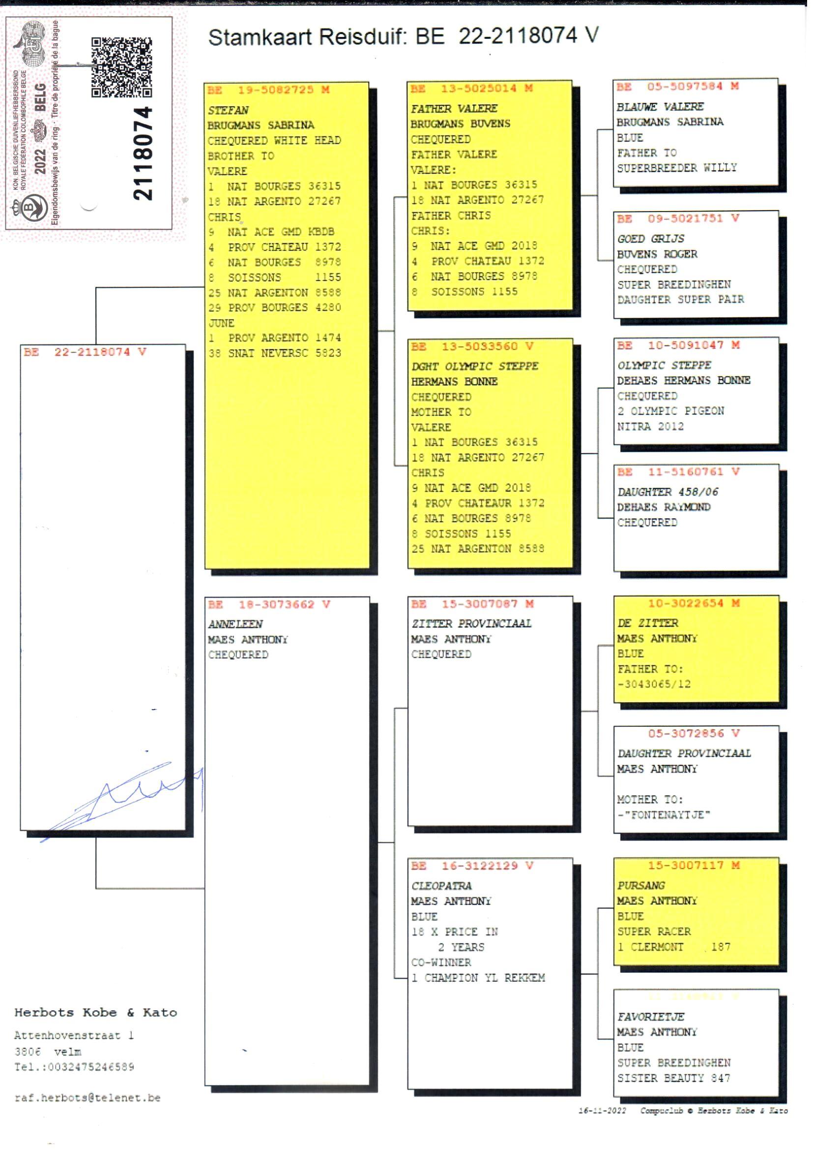 pedigree Direct Herbots Kobe & Kato