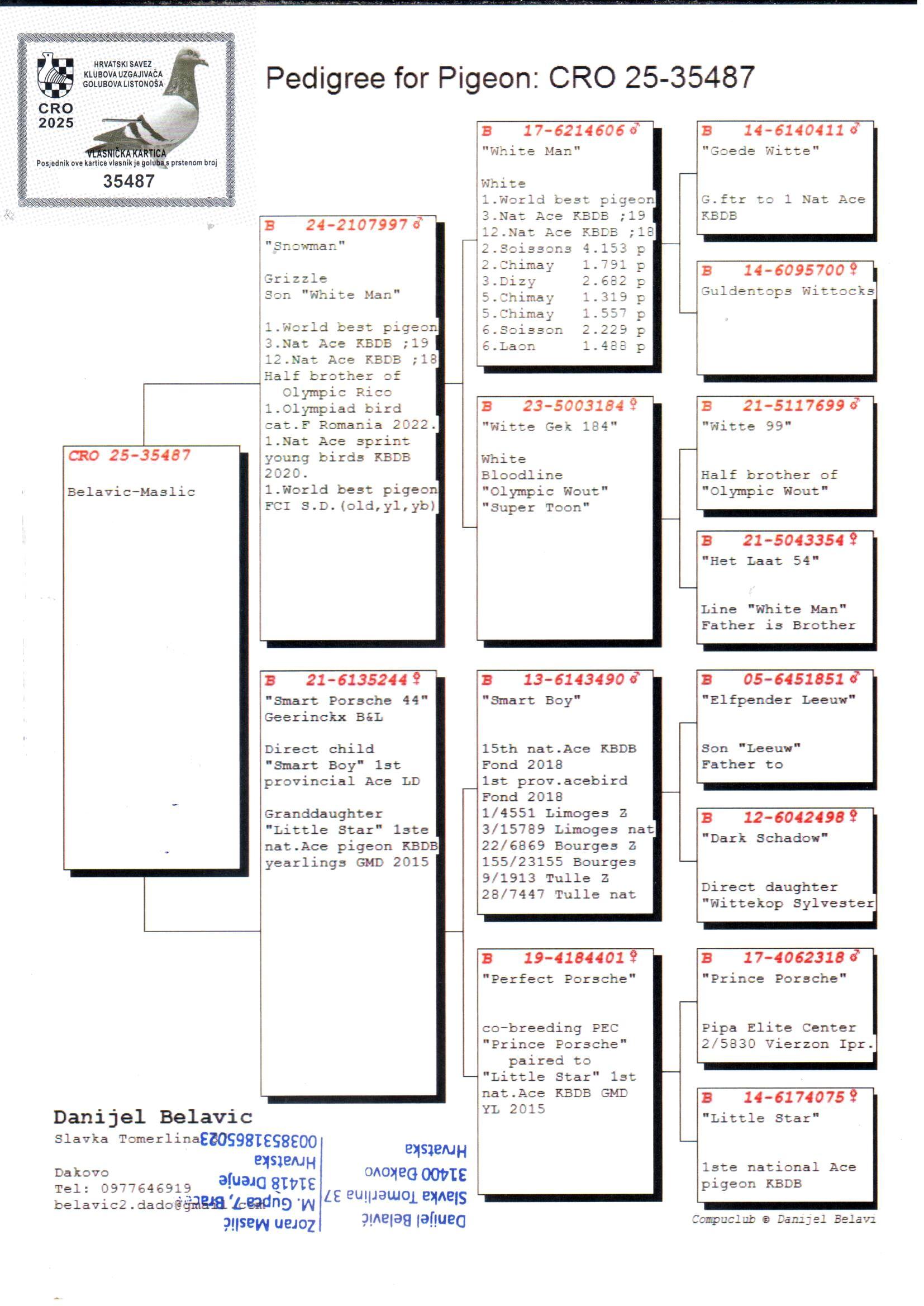 pedigree “White Man” x  “Prince Porche” (Belavic-Maslic)