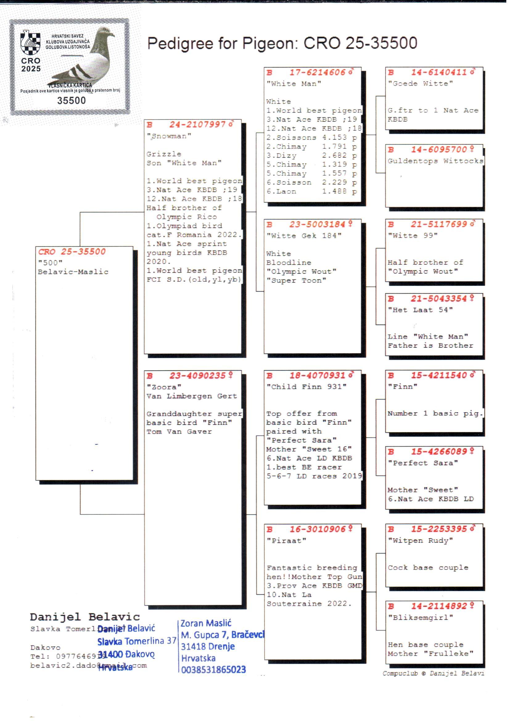 pedigree “White Man” x “Finn” (Belavic-Maslic)