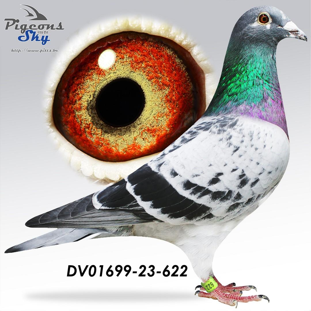 “Gebr Leideman” x “Prange-Roeper”