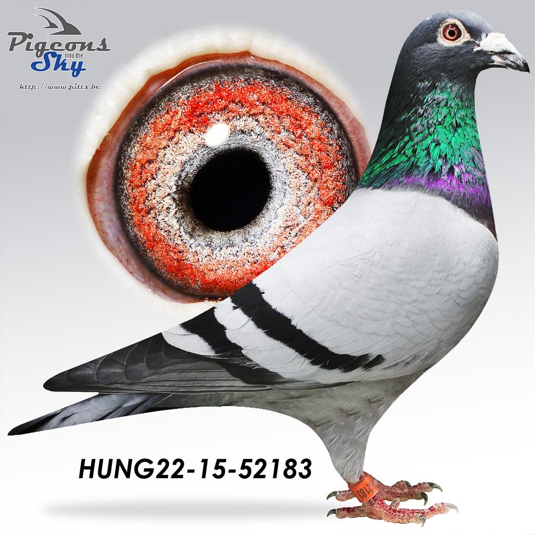 Dirk Van Den Bulck x Gunter Prange