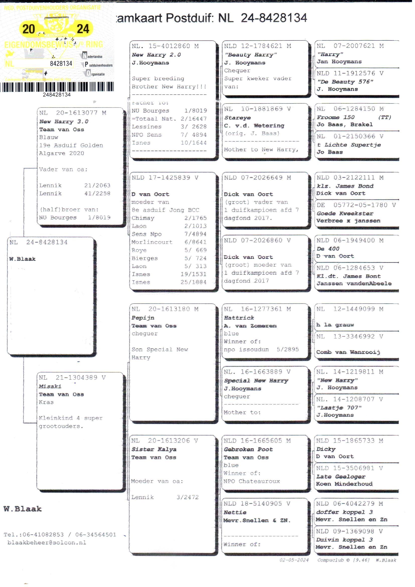 pedigree Lijn de wereldberoemde “Harry” (Jan Hooymans)