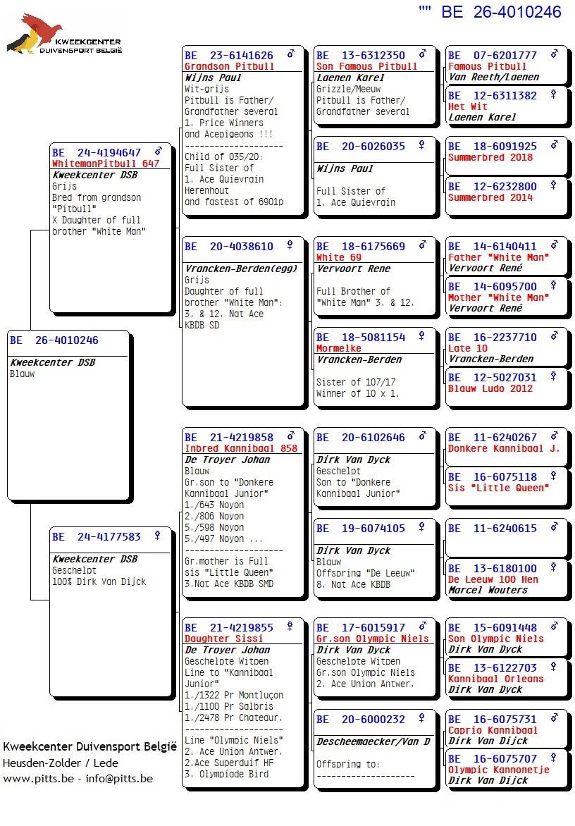pedigree 246 - Pitbull-lijn x Van Dijck
