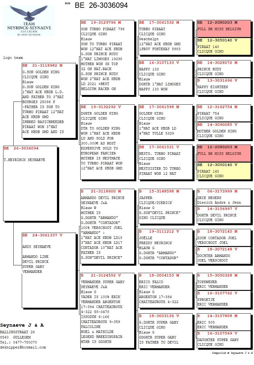 pedigree Kl.zoon 1° Nat. asduif LD Gino Clicque X Armando Verschoot Joel, Devil Prince / Super Gaby Clicque