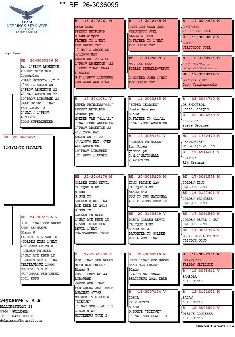 pedigree Broer 1°NAT. PERIGUEUX -2°NAT. LIMOGES-4°NAT. ARGENTON X KL.Z 1°NAT. ASDUIF L.D. x D. 1°NAT. PERIGUEUX 