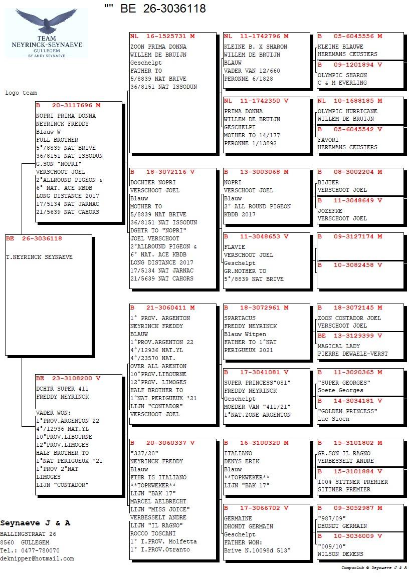 pedigree BROER 5°NAT.°BRIVE 33° NAT.ISSODUN  X DOCHTER "SUPER 411" 4°NAT. 1°PROV. - 10°PROV. 12°PROV. 
