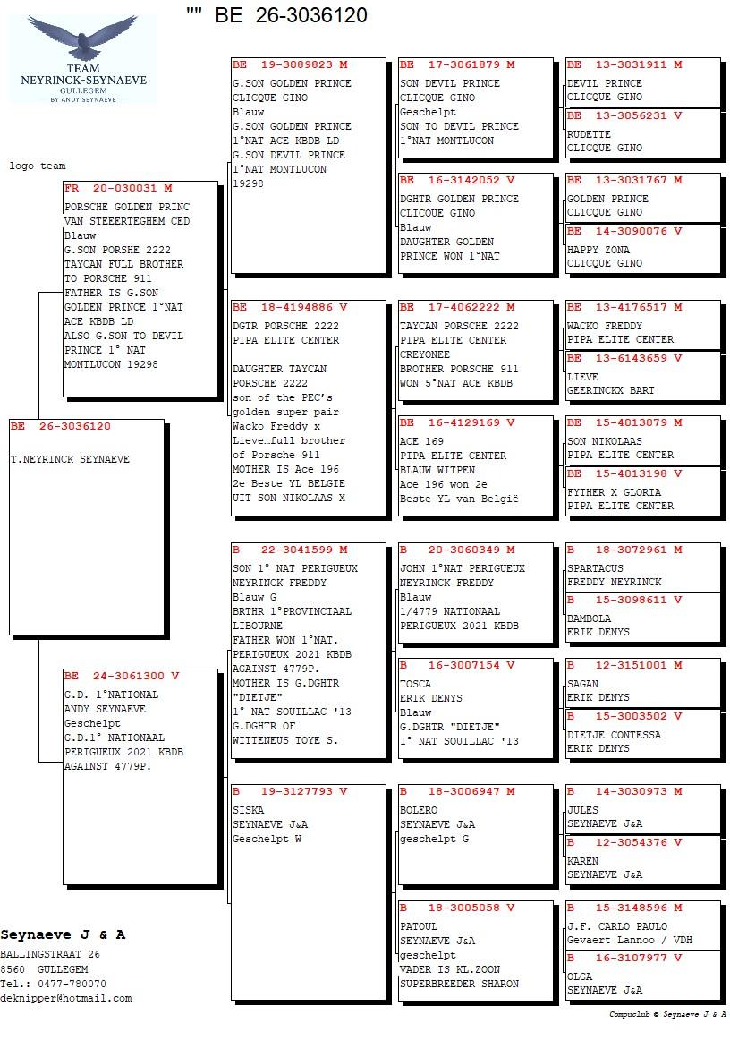 pedigree KL.Z TAYCAN PORSCHE PIPA X KL.D 1°NAT. PERIGUEUX