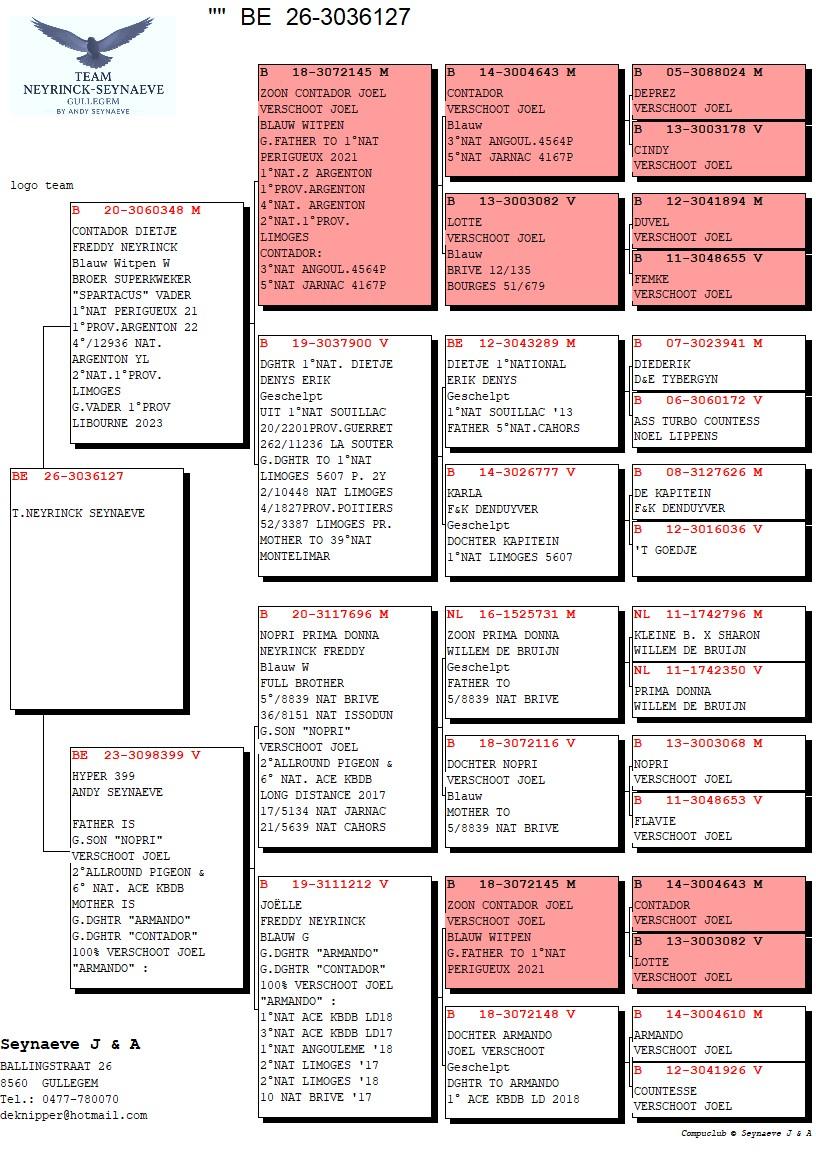 pedigree KL.ZOON CONTADOR VERSHOOT-DIETJE 1°NAT SOUILLAC  X KL.D. ARMANDO CONTADOR NOPRI VERSCHOOT