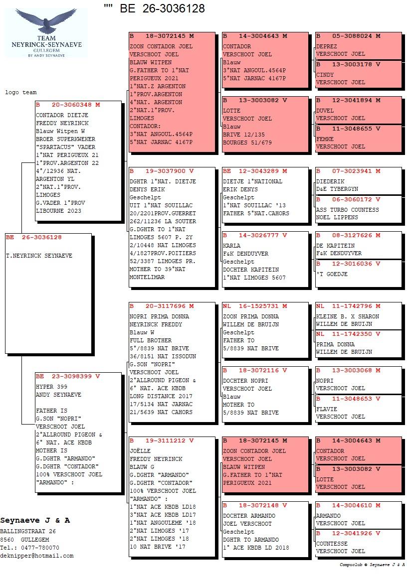 pedigree KL.ZOON CONTADOR VERSHOOT-DIETJE 1°NAT SOUILLAC  X KL.D. ARMANDO CONTADOR NOPRI VERSCHOOT