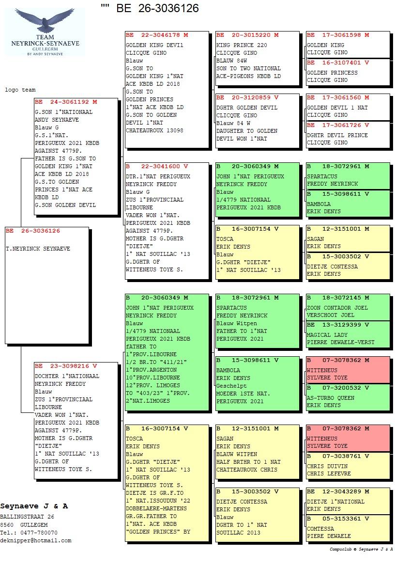 pedigree *** TOP AANBIEDING *** DOCHTER 1° NATIONAAL X KL.ZOON 1°NATIONAAL EN 1°NATIONAAL ASDUIF