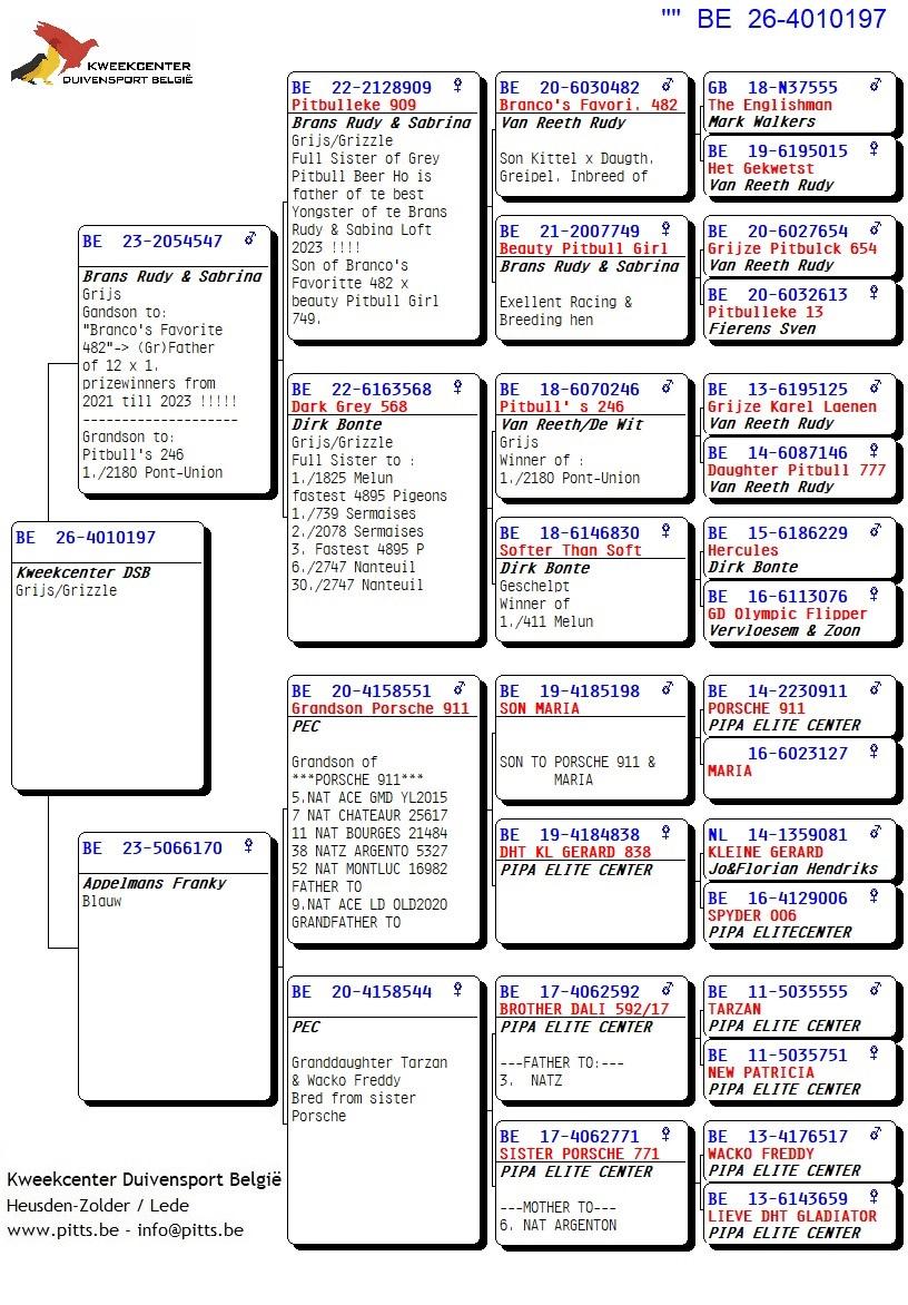 pedigree 197 - Brans x Porsche-lijn