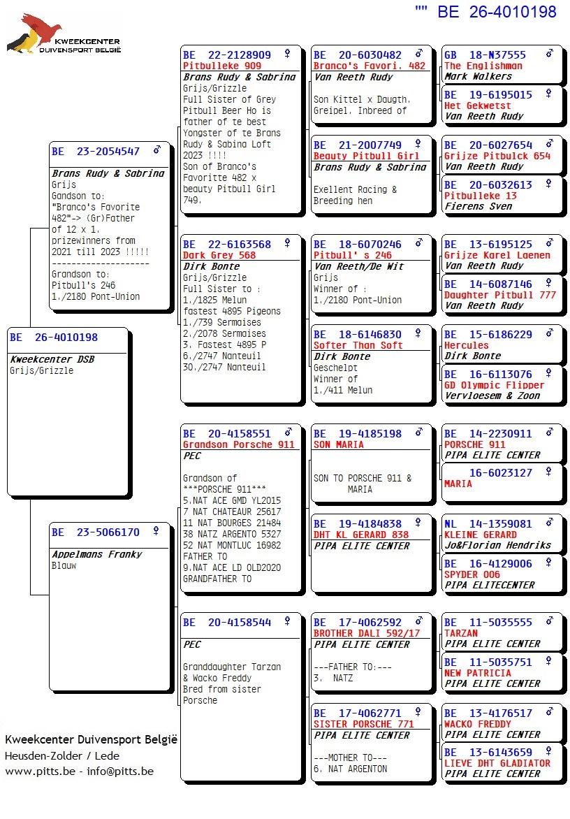 pedigree 198 - Brans x Porsche-lijn
