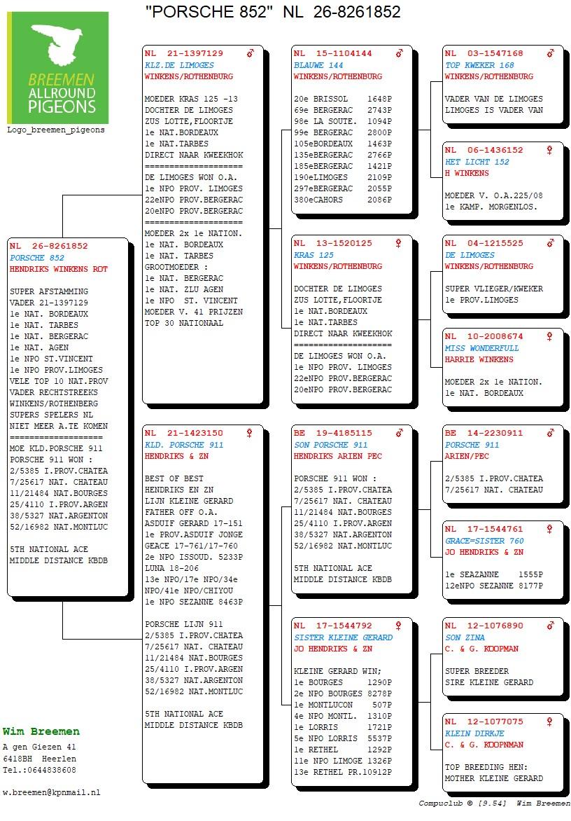 pedigree Porsche 852
