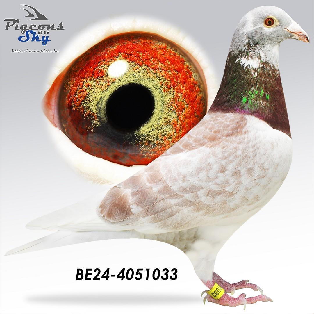 Super inteelt Best Kittel - Velghe x Sangers