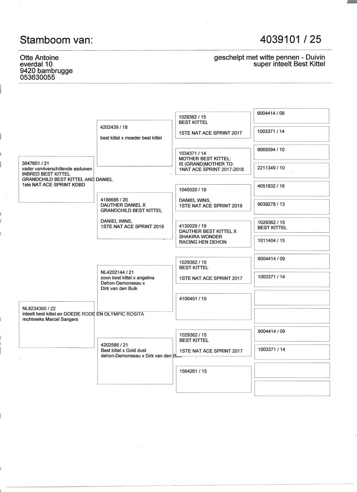 pedigree Super inteelt Best Kittel - Velghe x Sangers