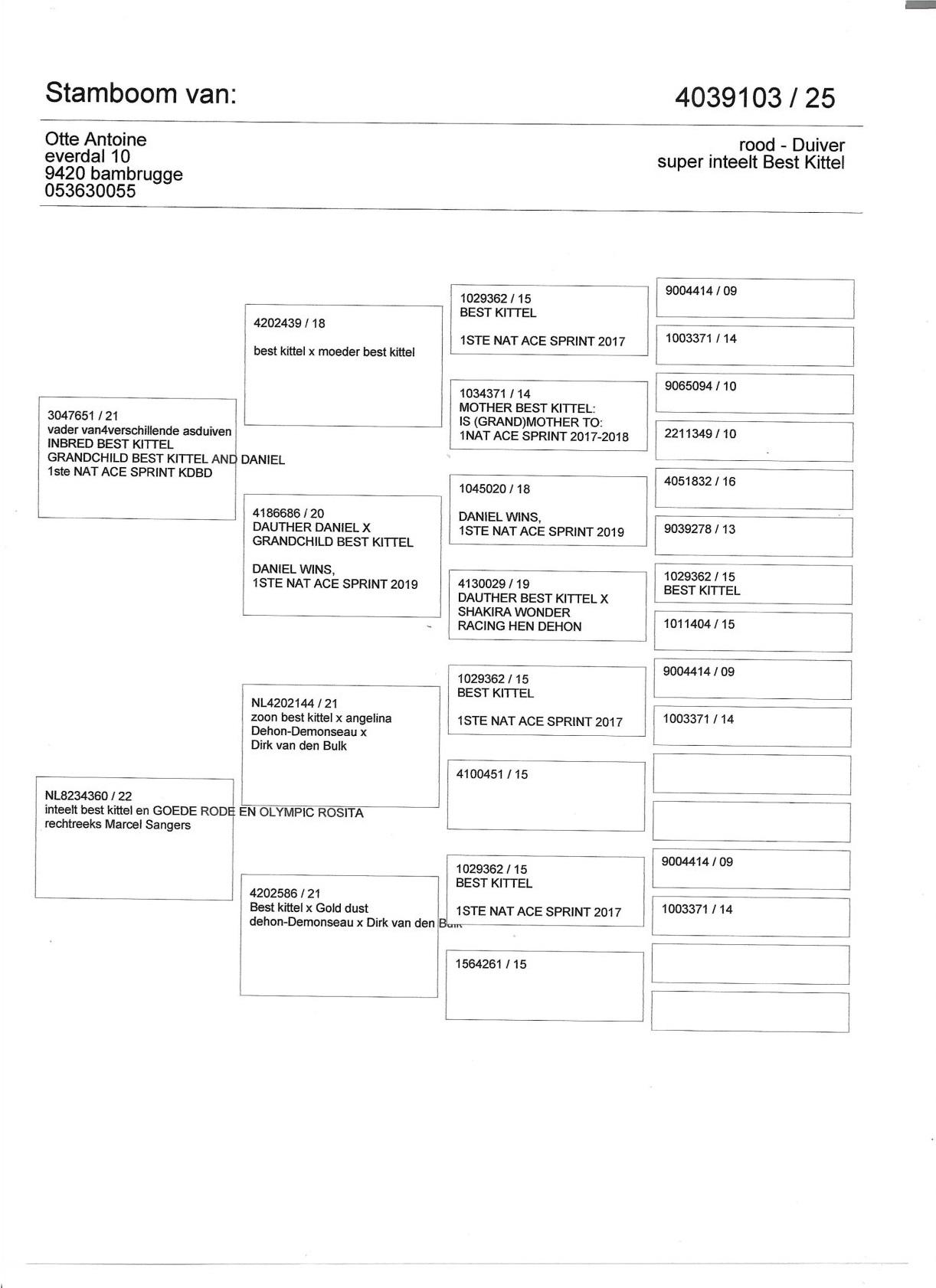 pedigree Super inteelt Best Kittel - Velghe x Sangers