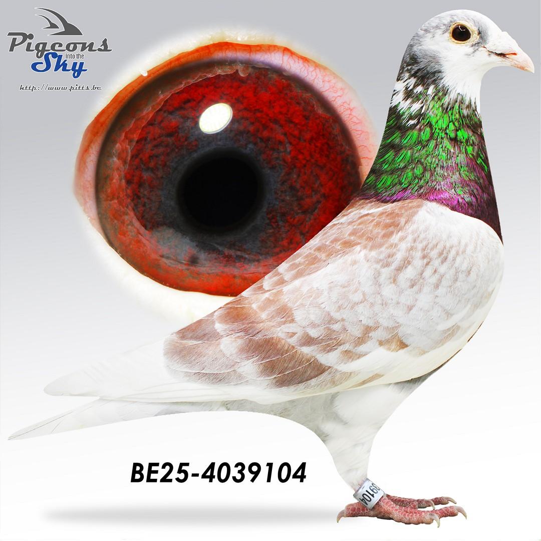 Super inteelt Best Kittel - Velghe x Sangers