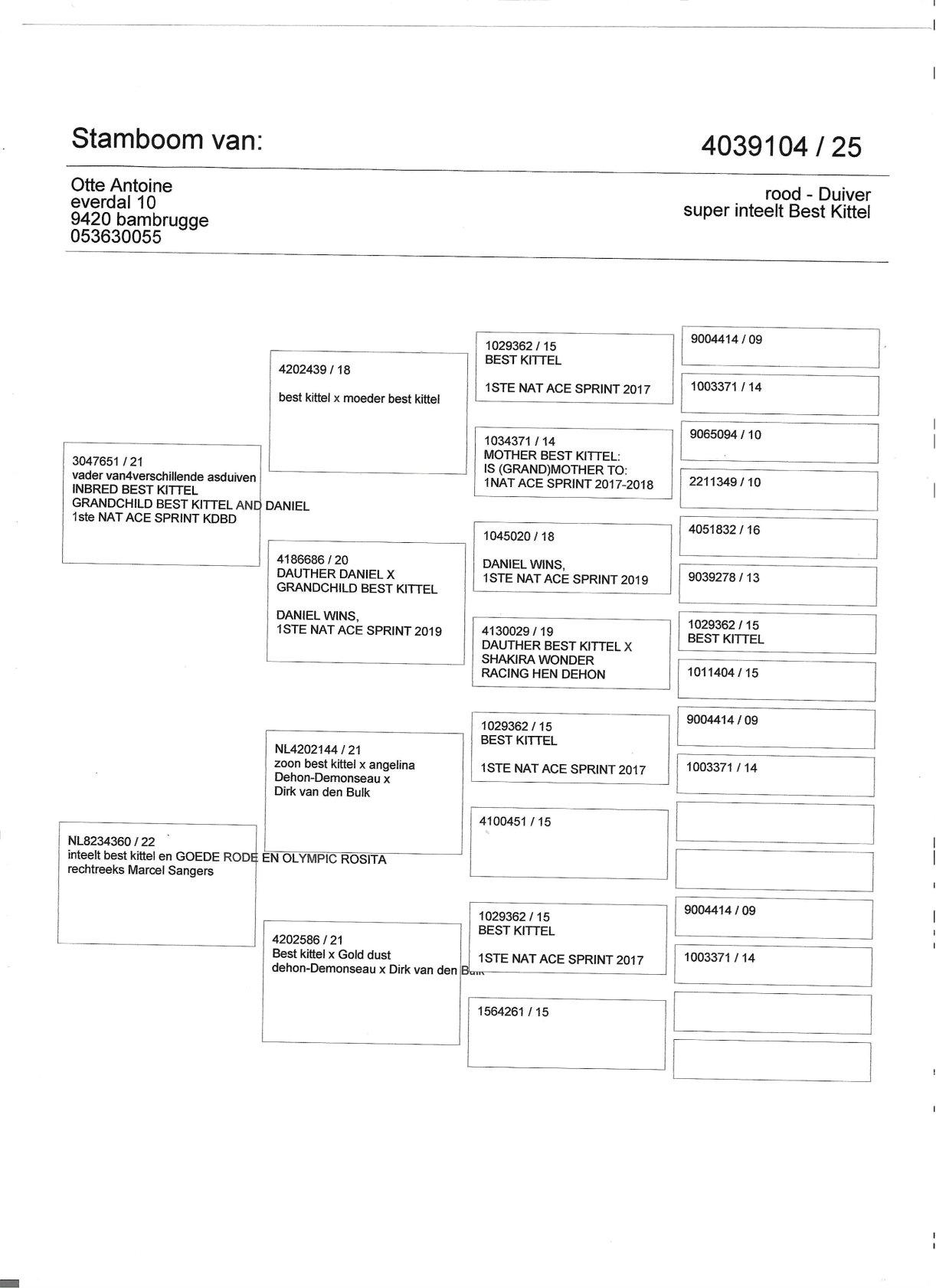 pedigree Super inteelt Best Kittel - Velghe x Sangers