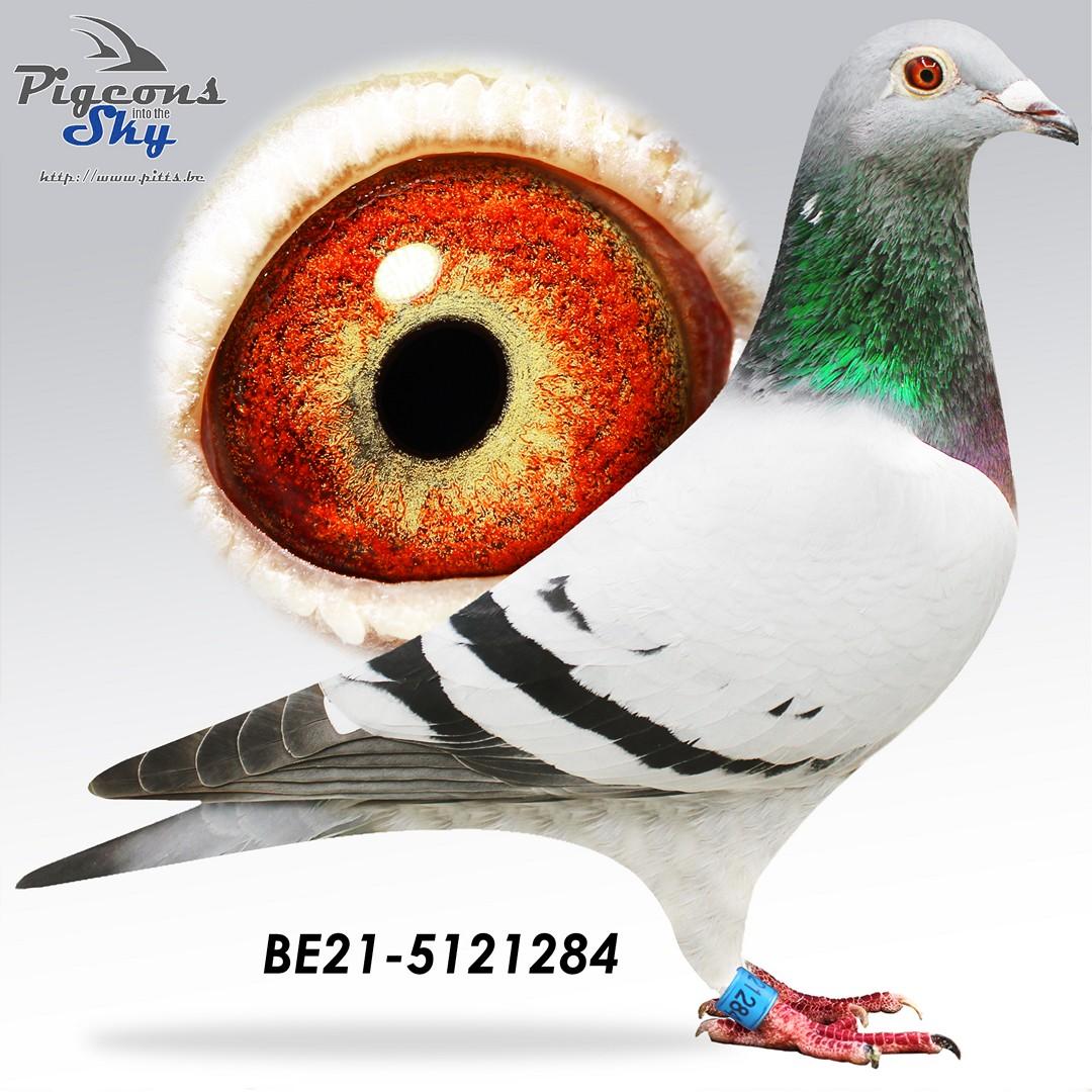 "Jason" x "575" - Original Peter Stakenborg