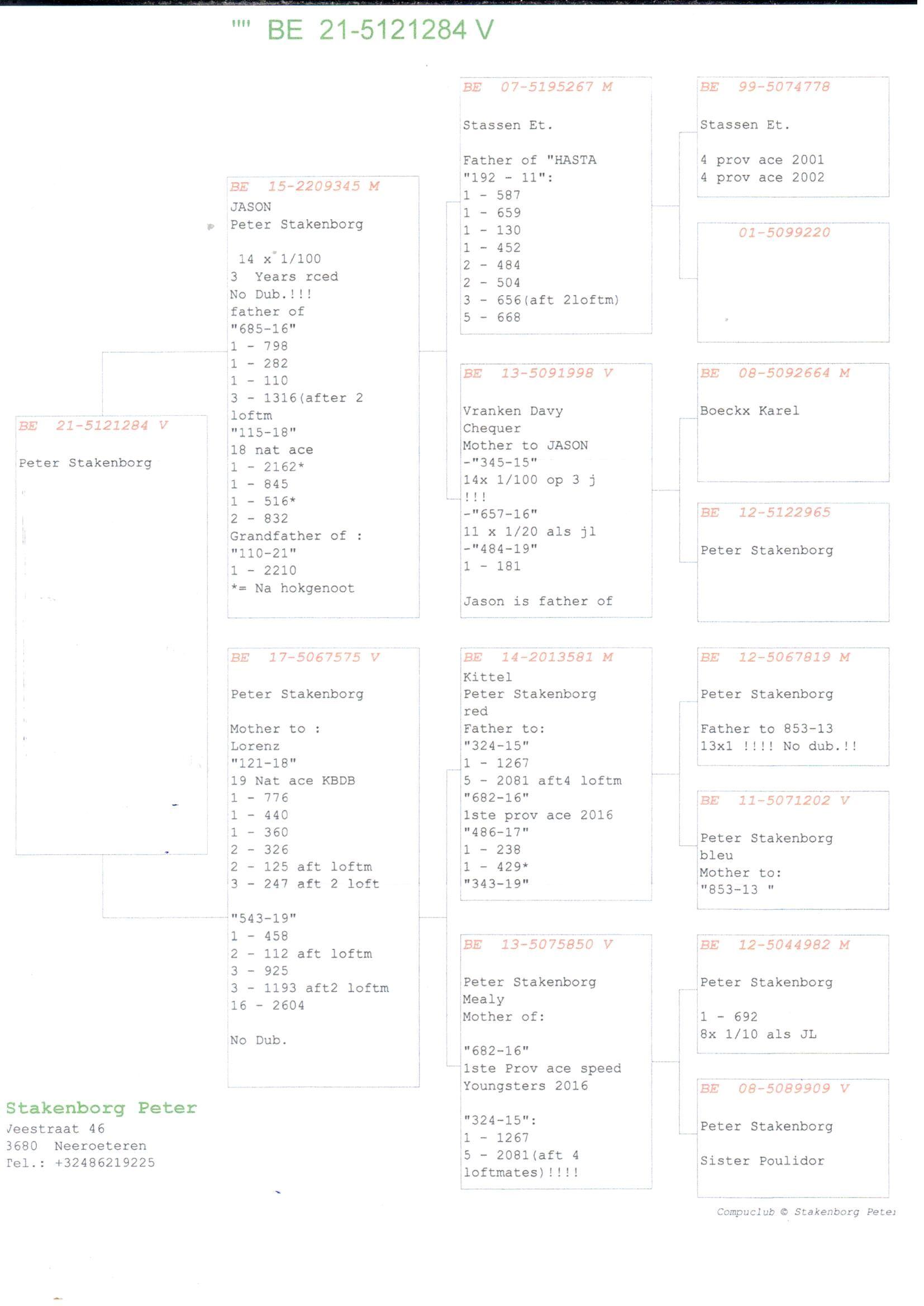 pedigree "Jason" x "575" - Original Peter Stakenborg